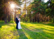 wedding-628515_1920