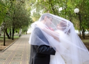 wedding-808960_1920
